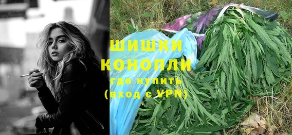 ешки Белокуриха