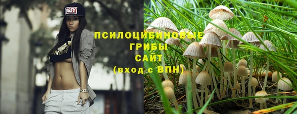 ешки Белокуриха