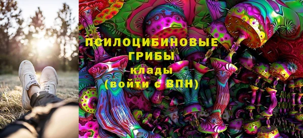 ешки Белокуриха