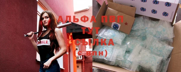ешки Белокуриха